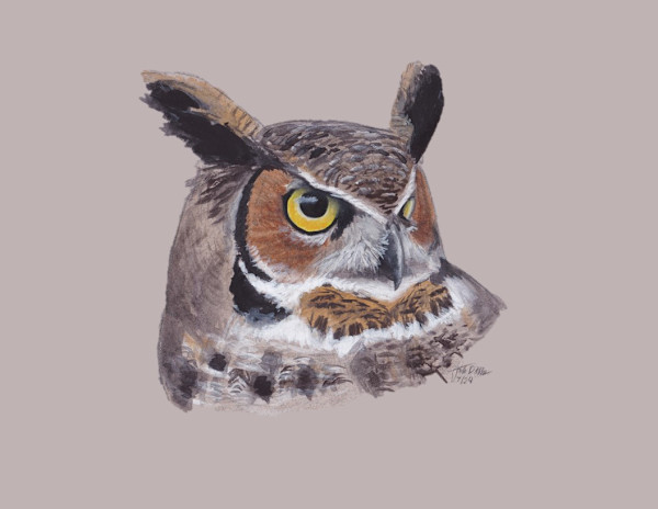 Great Horned Owl by Jack Hobe