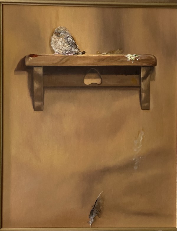 The Lonliest Bird on Earth by Jane Hyland