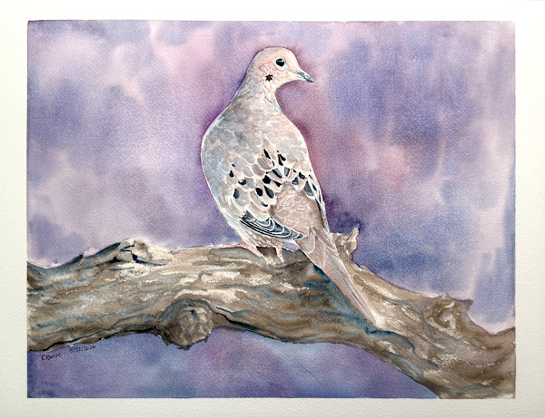 Mourning Dove by Rebecca Beese, Image 1.