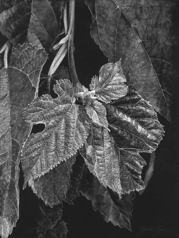 Mulberry's Maturing Leaf Magic by Rhonda Nass