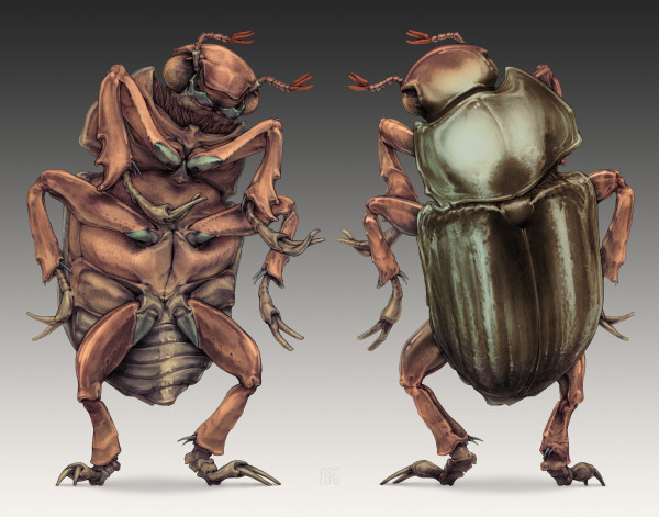 The "Welcome Bug" (Jewel Scarab) by Robert Long