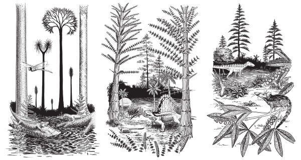 Sequence from Beasts Before Us: Carboniferous, Permian, Jurassic by April Neander