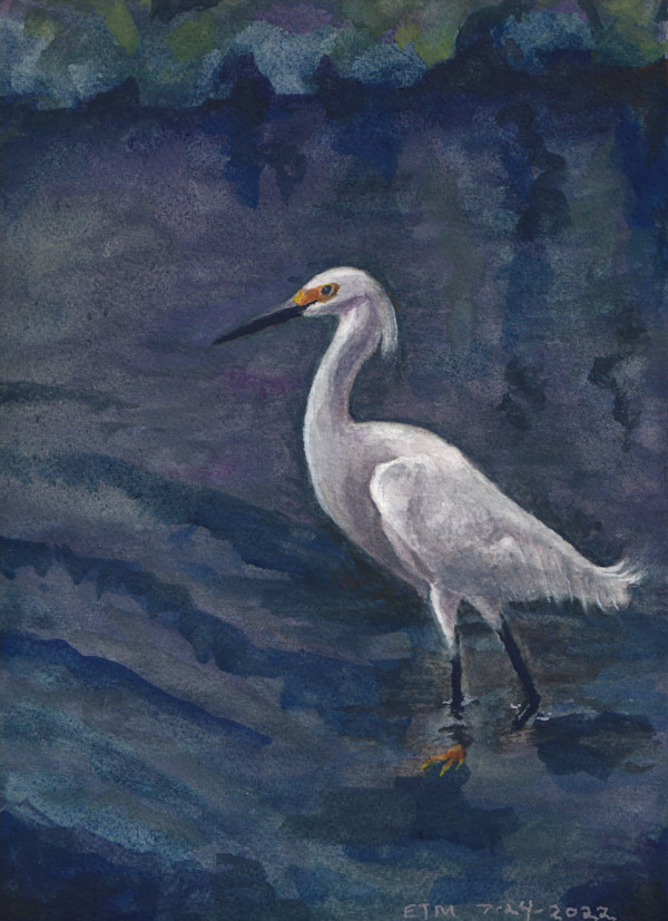 Snowy Egret by Evelyn Maizels