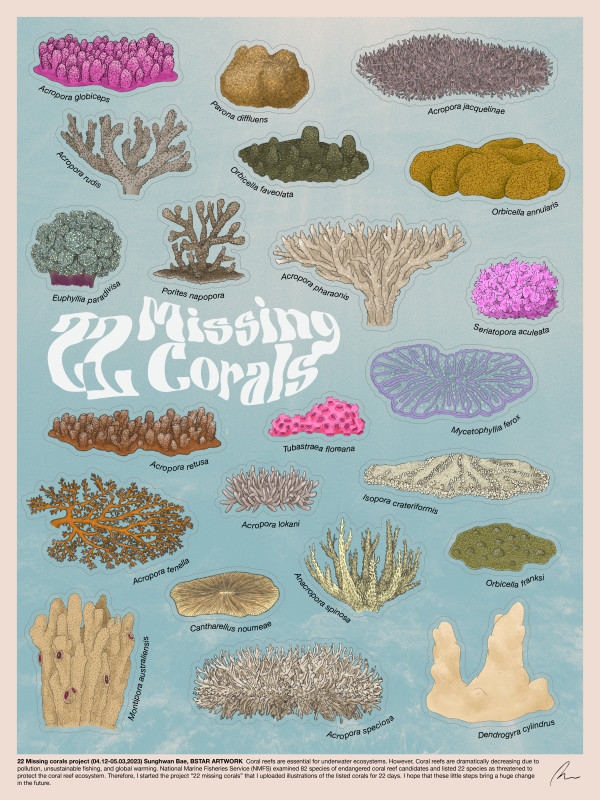 22 Missing Corals by Sunghwan Bae