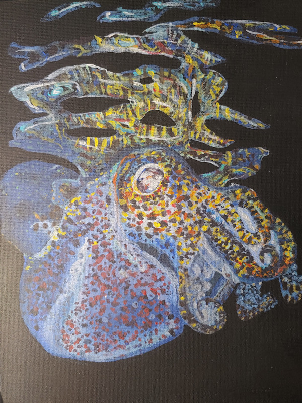 Bobtail Squid by Netta Dar, Image 1.