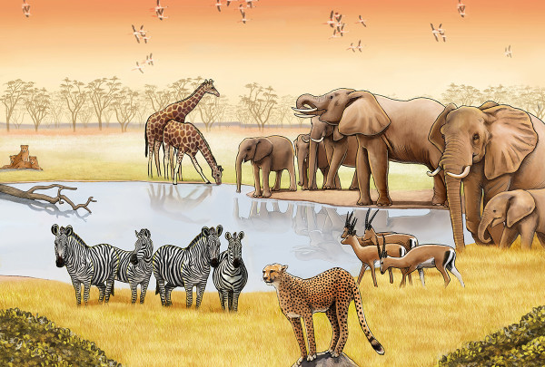 African savannah animals by Mesa Schumacher