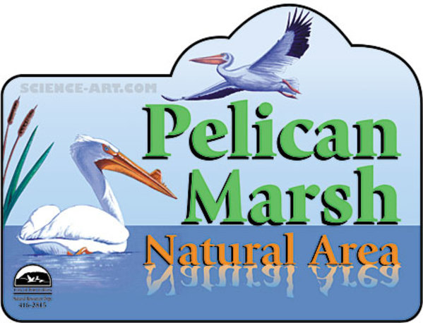 Pelican Marsh by R. Gary Raham