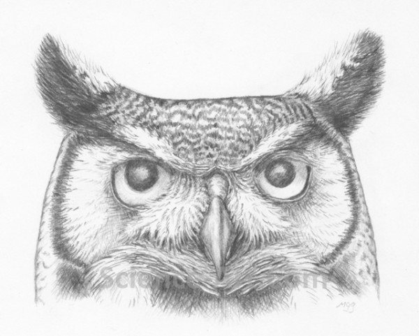Great Horned Owl by Margaret Garrison