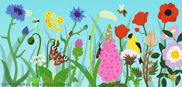 Wildflowers and Pollinators by Sara Cramb