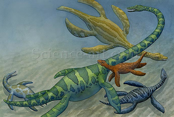 Plesiosaurs by Carol Schwartz
