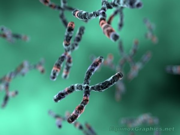 Chromosome soup by Dr Jon Heras