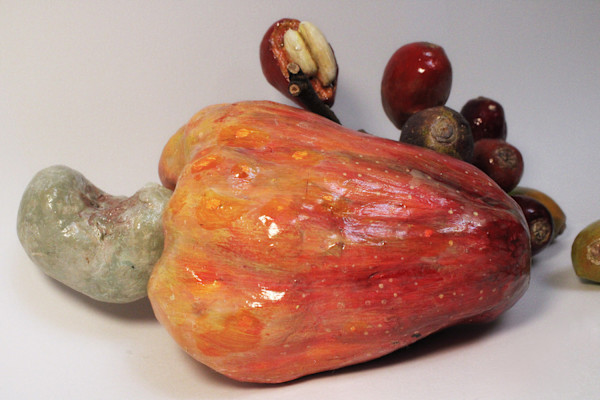 Discarded Fruit: Cashew and Coffee by Benjamin Feinstein
