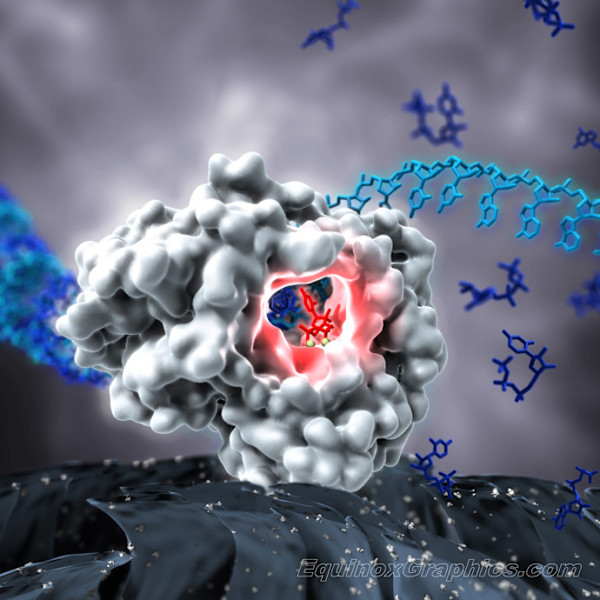 Gilead cover submission for Science by Dr Jon Heras