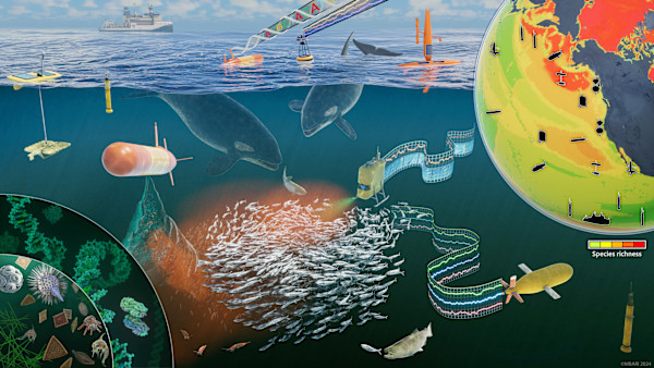 Environmental DNA by David Fierstein