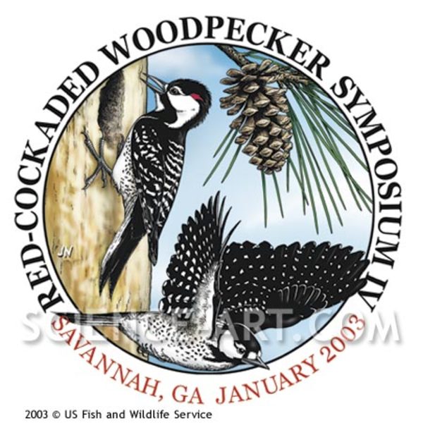 Red-cockaded Woodpecker logo by John Norton