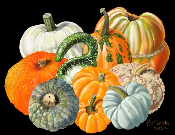 Gourdfest by Patricia Latas