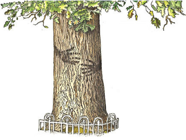 Oak Tree Hugging by Richard Rauh