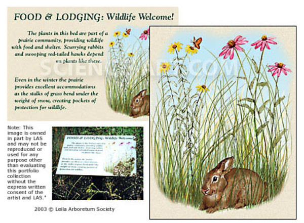 Food & Lodging Graphic by Gail Guth