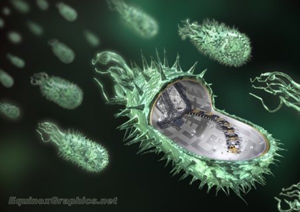 Artificial Bacteria by Dr Jon Heras