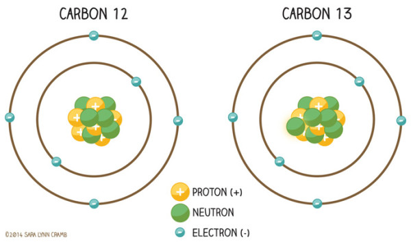 Carbon Diagram Illustration by Sara Cramb