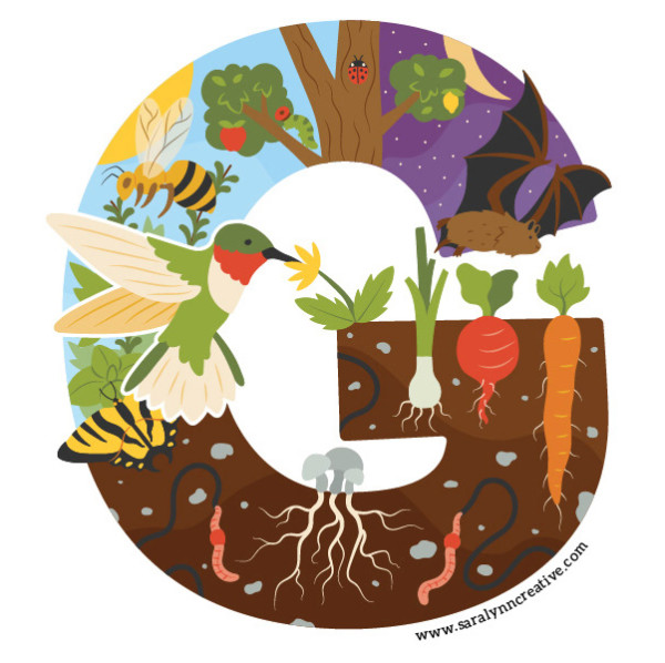 Preschool Gardening Program logo by Sara Cramb