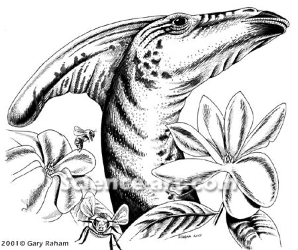 Parasaurolophus by R. Gary Raham