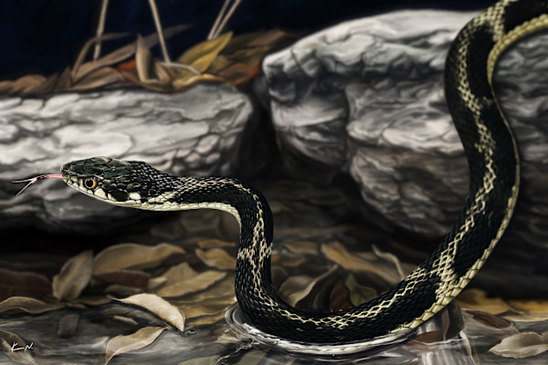 Pryer's keelback by Ken Naganawa