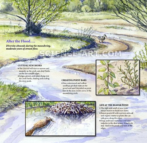The Shifting Landscape at Plum Creek by Marjorie Leggitt