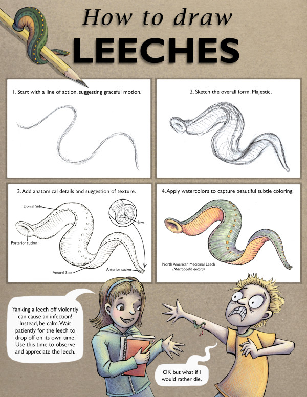 How To Draw Leeches by Haley Grunloh
