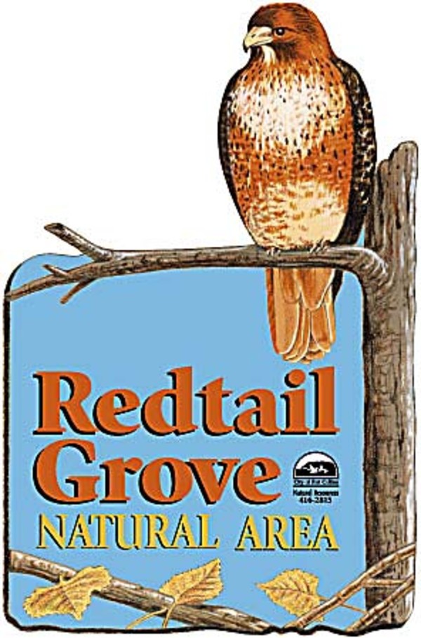 Redtail Grove by R. Gary Raham