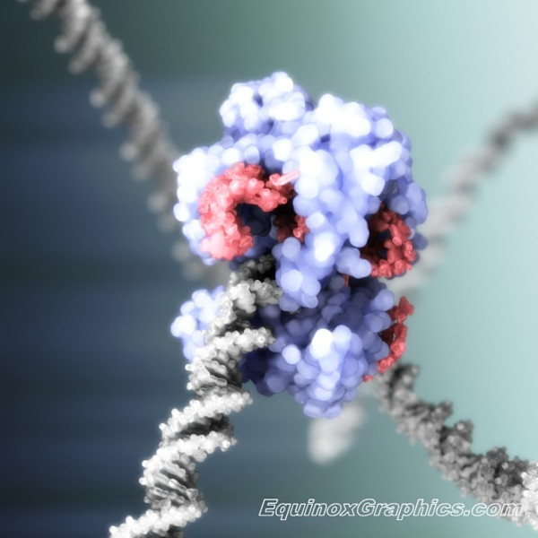 CRISPR-Cas9 gene editing complex by Dr Jon Heras
