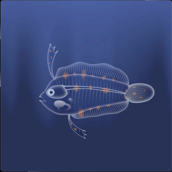 Flatfish Metamorphosis by Cindy Gresham