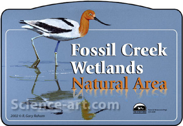 Fossil Creek Wetlands by R. Gary Raham