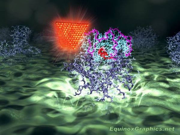 Quantum Dot by Dr Jon Heras