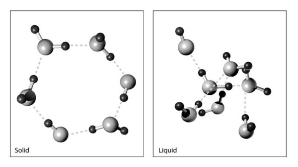 Water Molecule Structure in Solid vs. Liquid by Kelly Finan