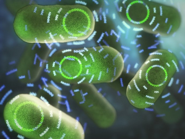 Synthetic Biology - combinatorial approach by Dr Jon Heras