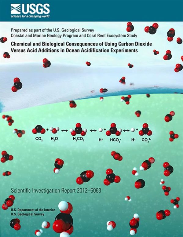 Ocean acidification report cover art by Betsy Boynton