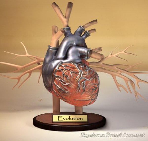 Hybrid artificial heart by Dr Jon Heras