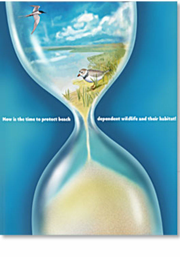 Saving our Waters by Jennifer Fairman, CMI, FAMI