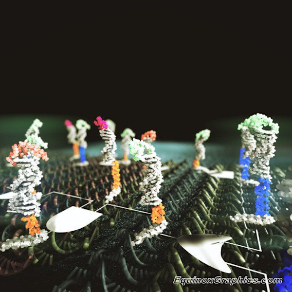 DNA nanoscale computation circuit illustration by Dr Jon Heras