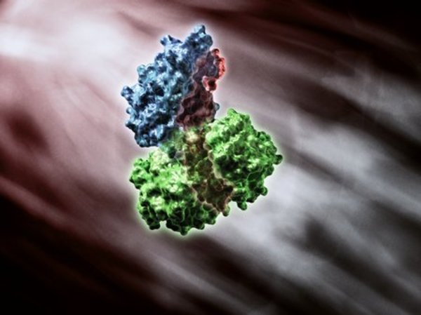 Cholera Toxin by Dr Jon Heras