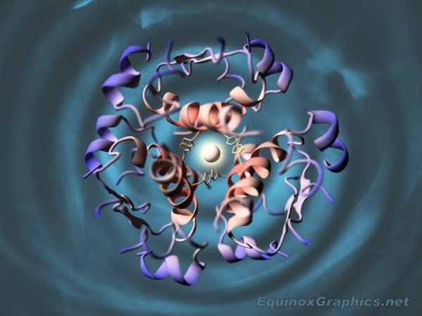 Insulin Hexamer by Dr Jon Heras