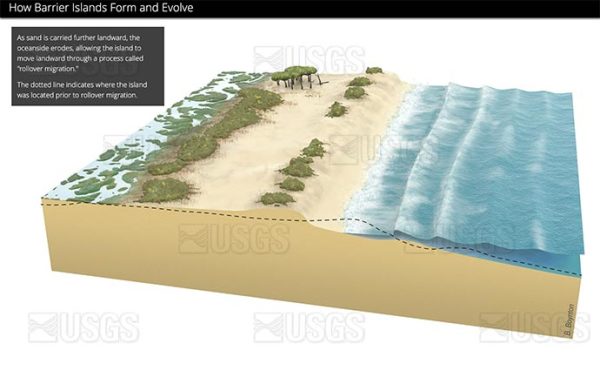 Cross-shore barrier island formation, panel 4 by Betsy Boynton