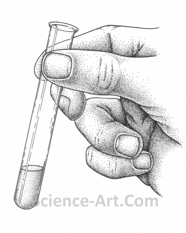 Hand with Test Tube by Margaret Garrison