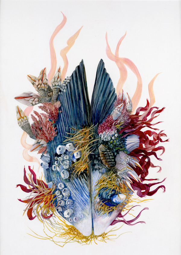 La Moule Bleue by Monica Loncola