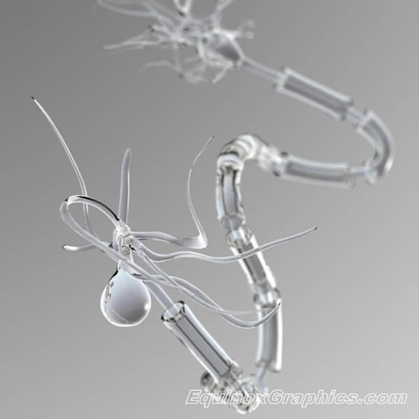 Watery neuron by Dr Jon Heras