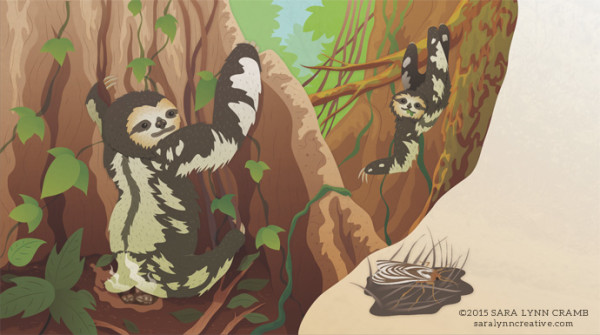 Three Toed Sloth by Sara Cramb