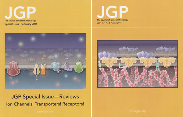 Cover illustrations created for JGP by Heather McDonald