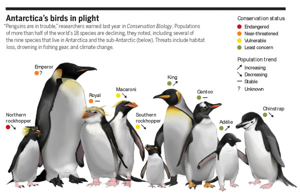 Antarctica's Birds in Plight by Valerie Altounian