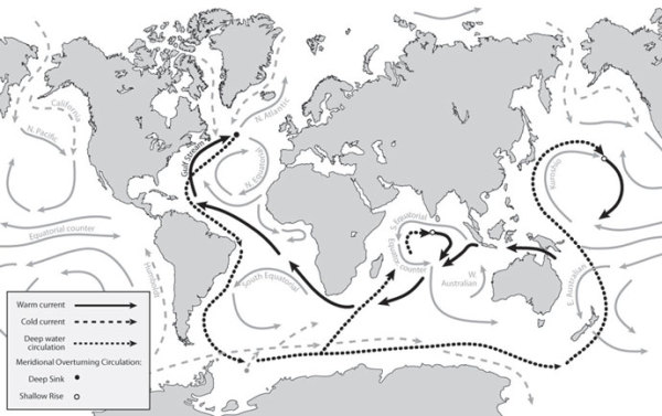 Global Ocean Water Currents by Kelly Finan